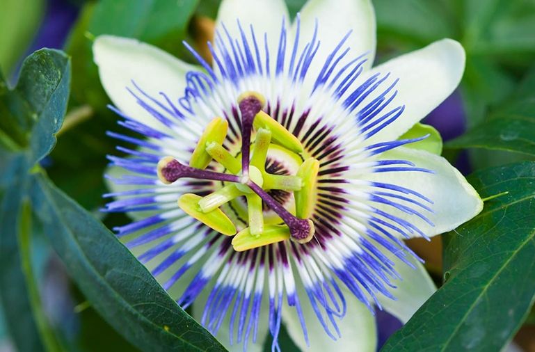 blumenfachgeschaeft-ehingen-moderne-floristik